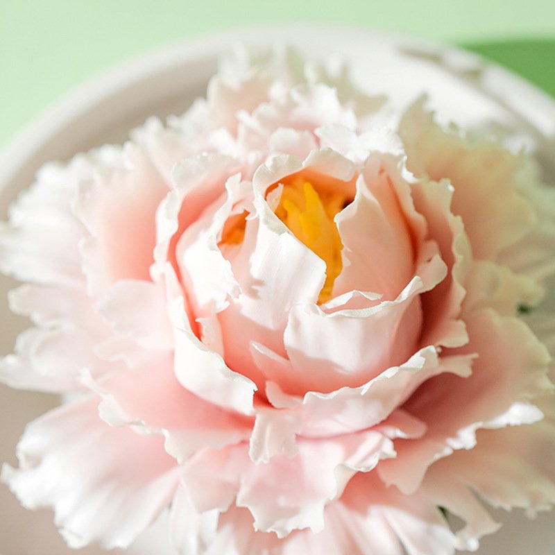 Porcelain with Flowers